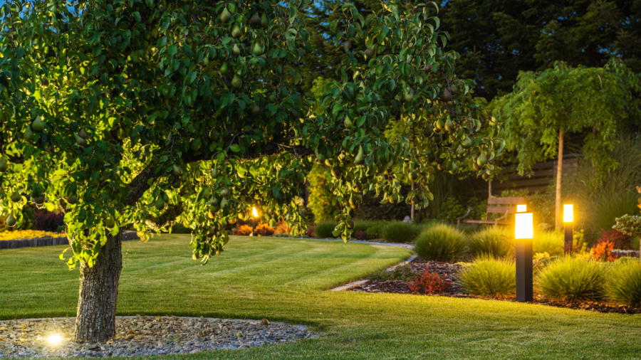 Lighting Repair in Overland Park